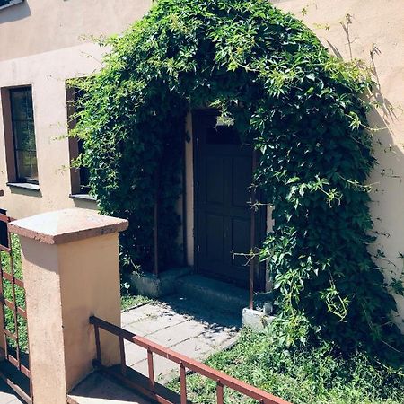 Apartamentai Klaipedos Senamiestyje Klaipėda Extérieur photo